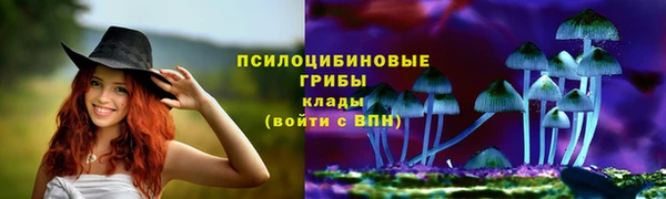 дурь Новодвинск