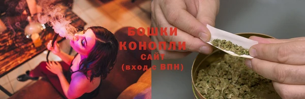 дурь Новодвинск