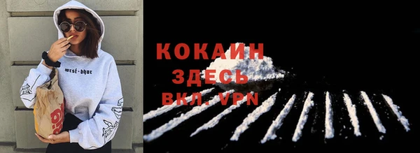 дурь Новодвинск