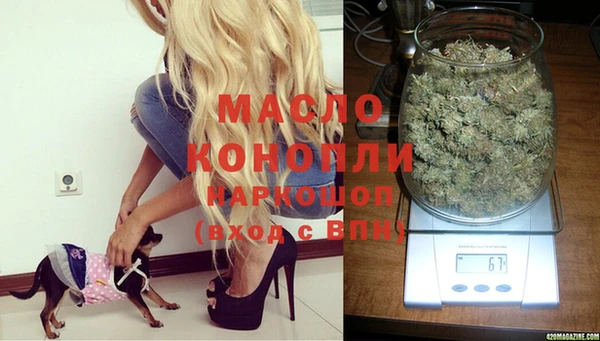 дурь Новодвинск