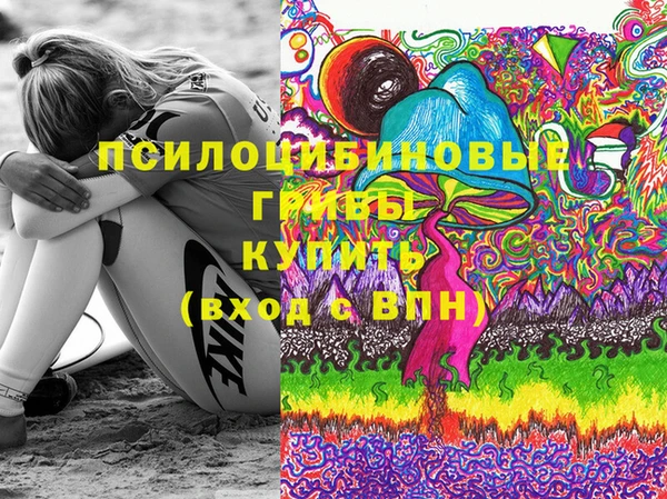 марки lsd Новозыбков