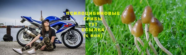 дурь Новодвинск