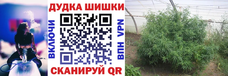 МАРИХУАНА конопля  Купить где  Кунгур 